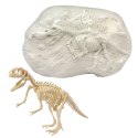 Zestaw Paleontologa Wykopaliska Szkielet Dinozaura Narzędzia