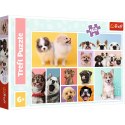 Puzzle - 160 - Psia przyjaźń - Trefl 15412 Puzzle - 160 - Psia przyjaźń - Trefl 15412