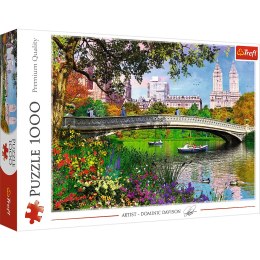 Puzzle 1000 el. Central Park, New York 10467