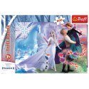 Puzzle - 200 - Magiczny świat sióstr - Disney Frozen Trefl 13265