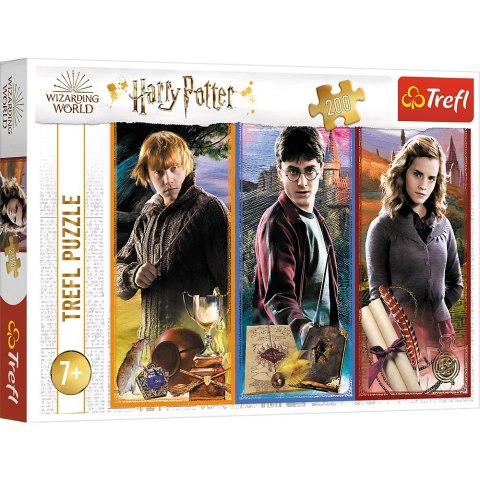 Puzzle Harry Potter 200 el. W świecie magii i czarów Trefl 13277