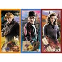 Puzzle Harry Potter 200 el. W świecie magii i czarów Trefl 13277