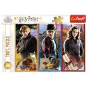 Puzzle Harry Potter 200 el. W świecie magii i czarów Trefl 13277