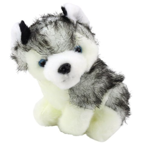 Piesek Husky W Torebce Pluszowy Maskotka Przytulanka Biało Szary Piesek Husky W Torebce Pluszowy Maskotka Przytulanka Biało Szary